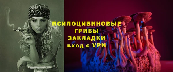 шишки Пересвет